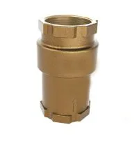 Válvula de Retenção Vertical, diam. 63 mm (2 ½")